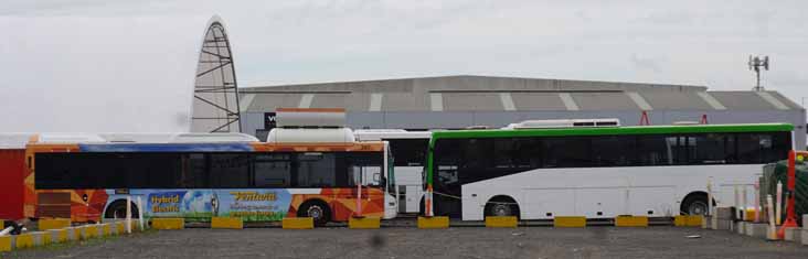 Ventura Iveco Metro Hybrid Volgren CR228L 287 & Dyson